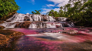 cañocristales.jpg cañocristales.jpg