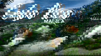 Costa Rica Mágica Costa Rica Mágica