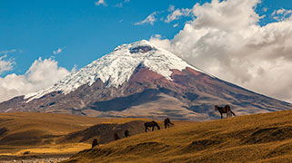 cotopaxi.jpg cotopaxi.jpg