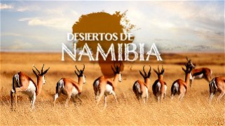 Desiertos de Namibia