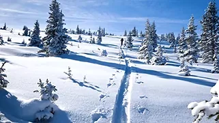 Vail  Ski