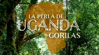 La Perla de Uganda + Gorilas