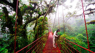 Puente Colgante Puente Colgante