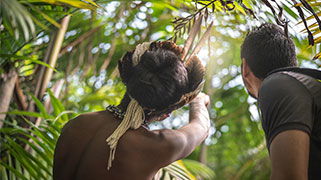 selvaamazonica.jpg selvaamazonica.jpg