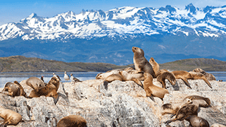 Ushuaia.png Ushuaia.png