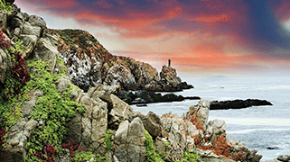 Viña-del-mar.png Viña-del-mar.png
